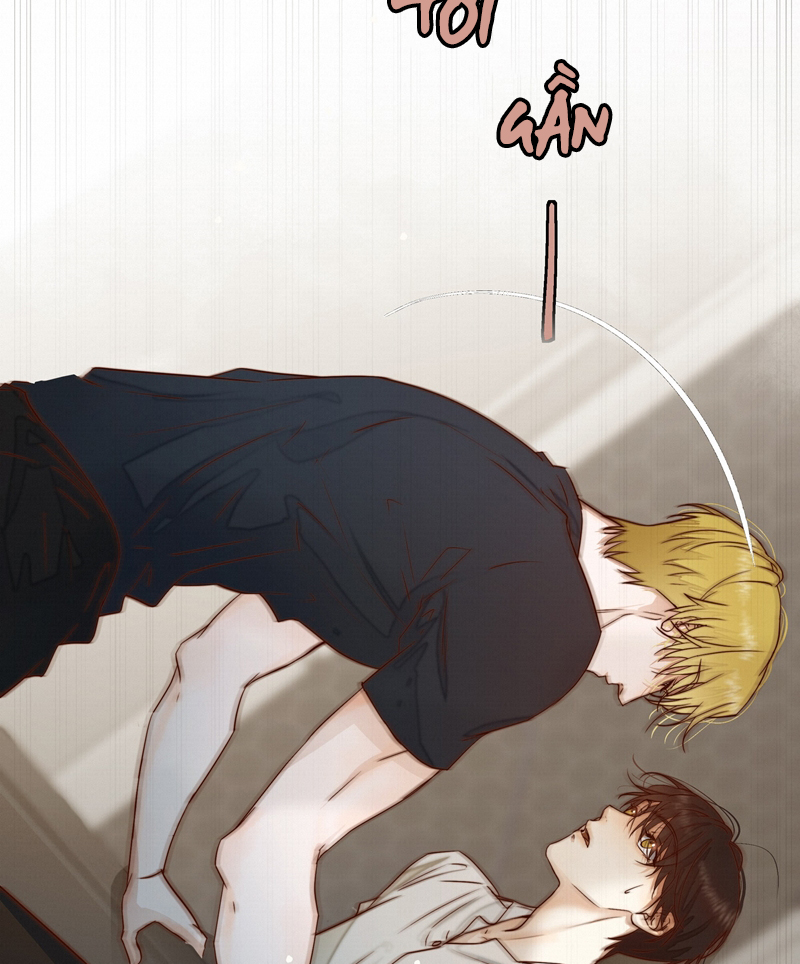 Tuyệt Xử Phùng Sinh Chapter 23 - Next Chapter 23