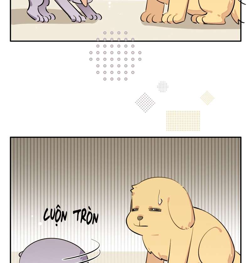 Chó Lớn Bắt Nạt Chủ Chapter 75 - Next Chapter 76