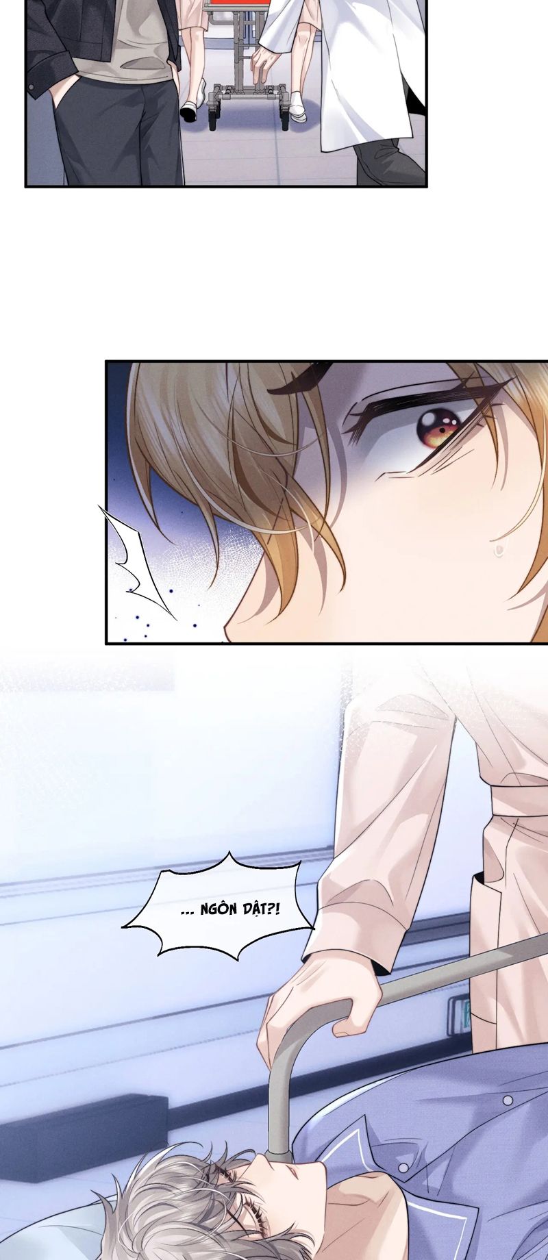Chấp Sự Thỏ Cụp Tai Chapter 95 - Trang 4
