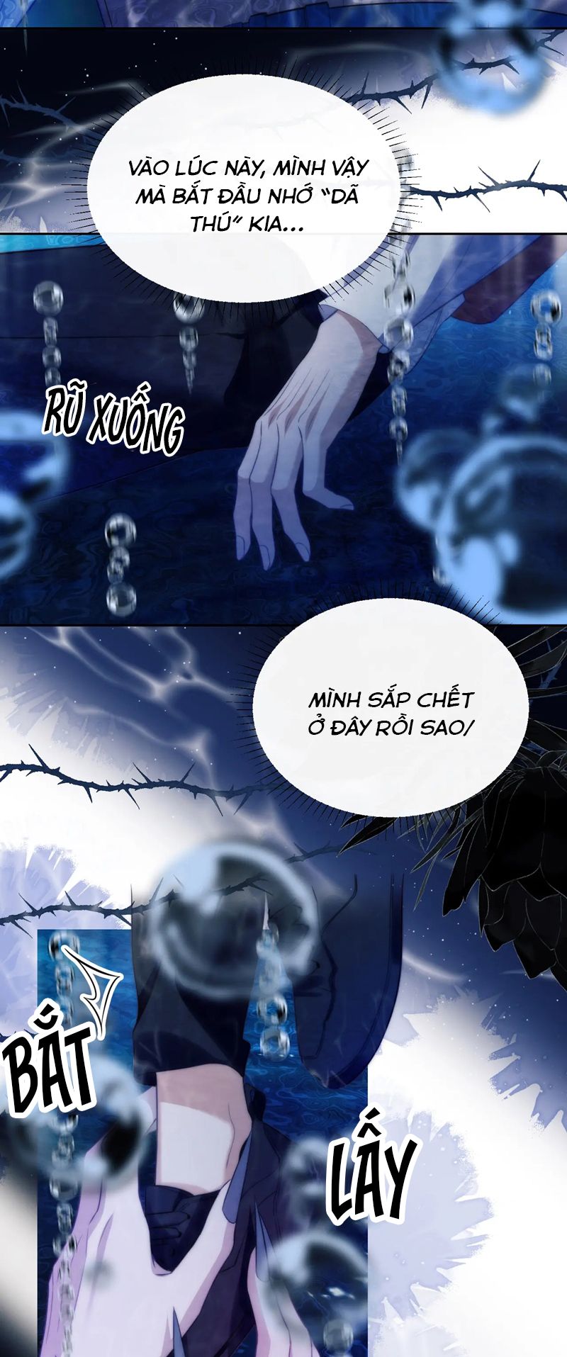 Desharow Nhân Ngư Chapter 41 - Next Chapter 42