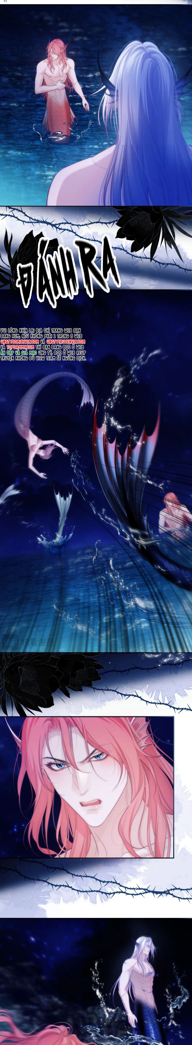 Desharow Nhân Ngư Chapter 42 - Next Chapter 43