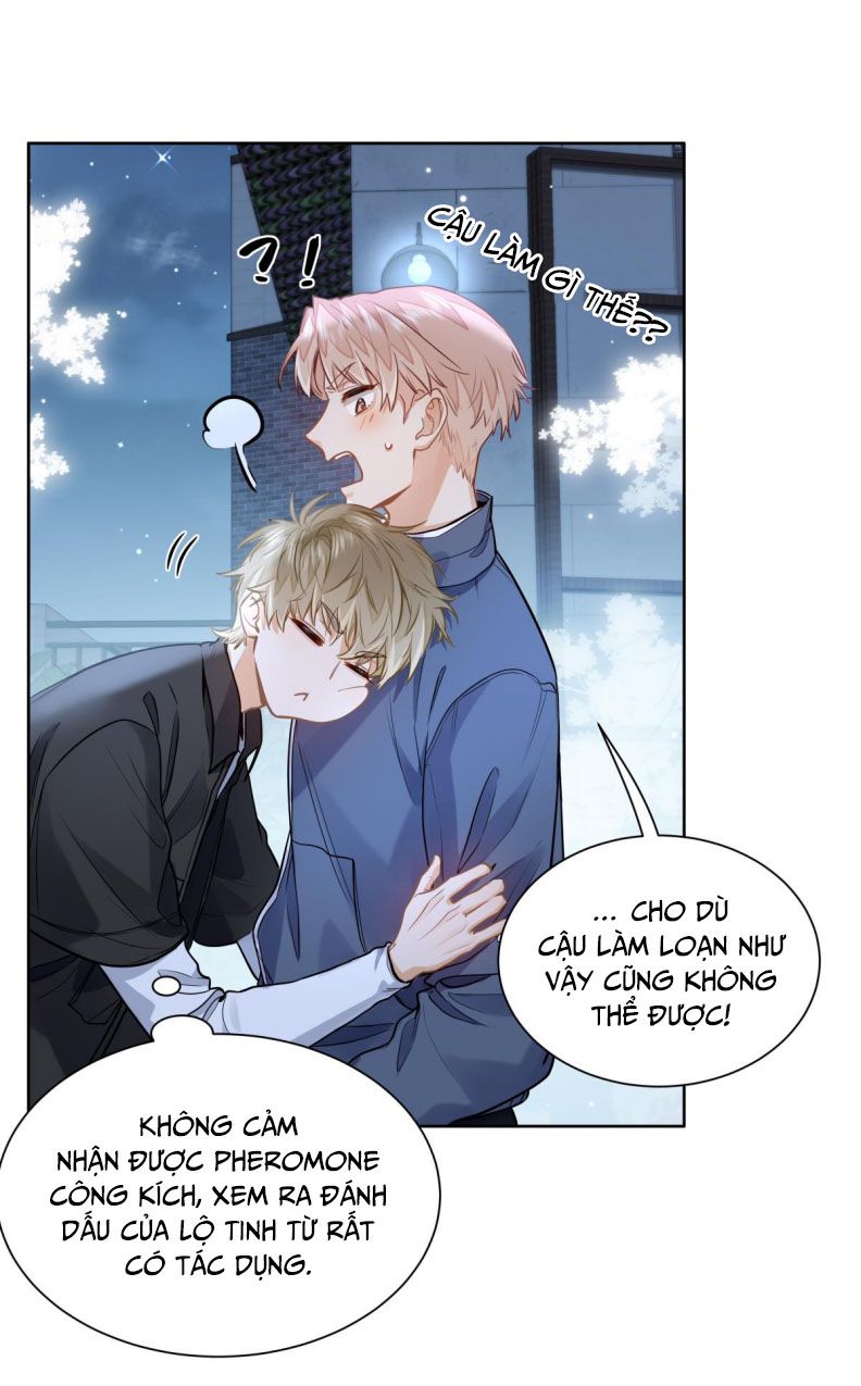 Tôi Thích Tin Tức Tố Của Cậu Chapter 21 - Next Chapter 22