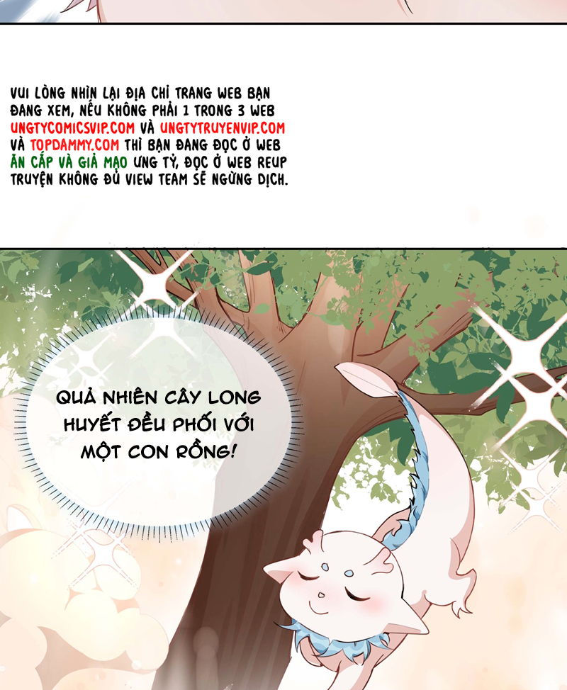 Sơn Hải Cao Trung Chapter 95 - Next Chapter 96