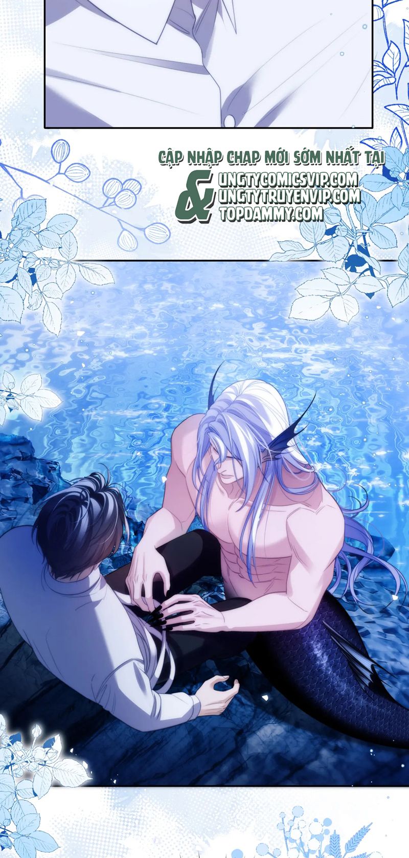 Desharow Nhân Ngư Chapter 45 - Next Chap 45