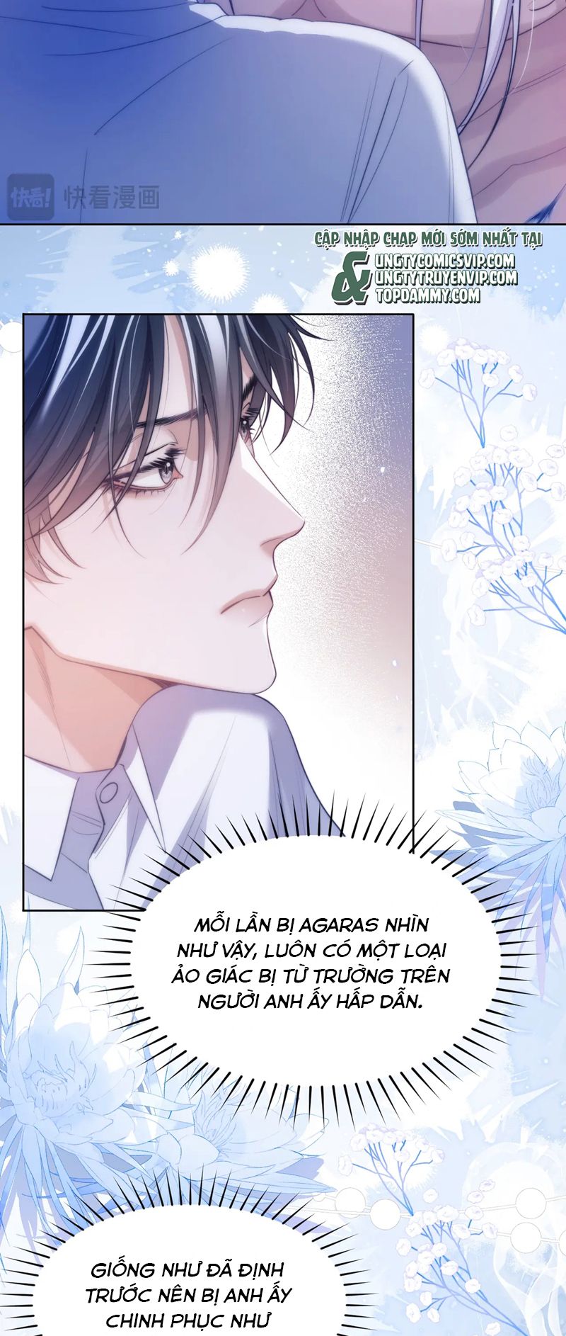 Desharow Nhân Ngư Chapter 45 - Next Chap 45