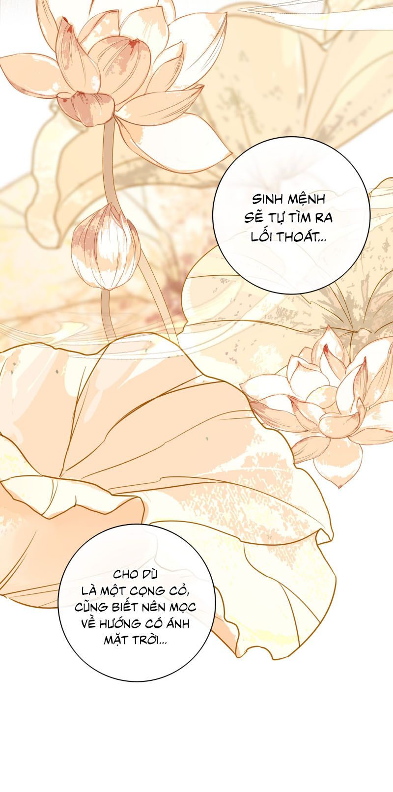 Sau Khi Chết Ta Trở Thành Nốt Chu Sa Của Ca Ca Chapter 58 - Next Chapter 59