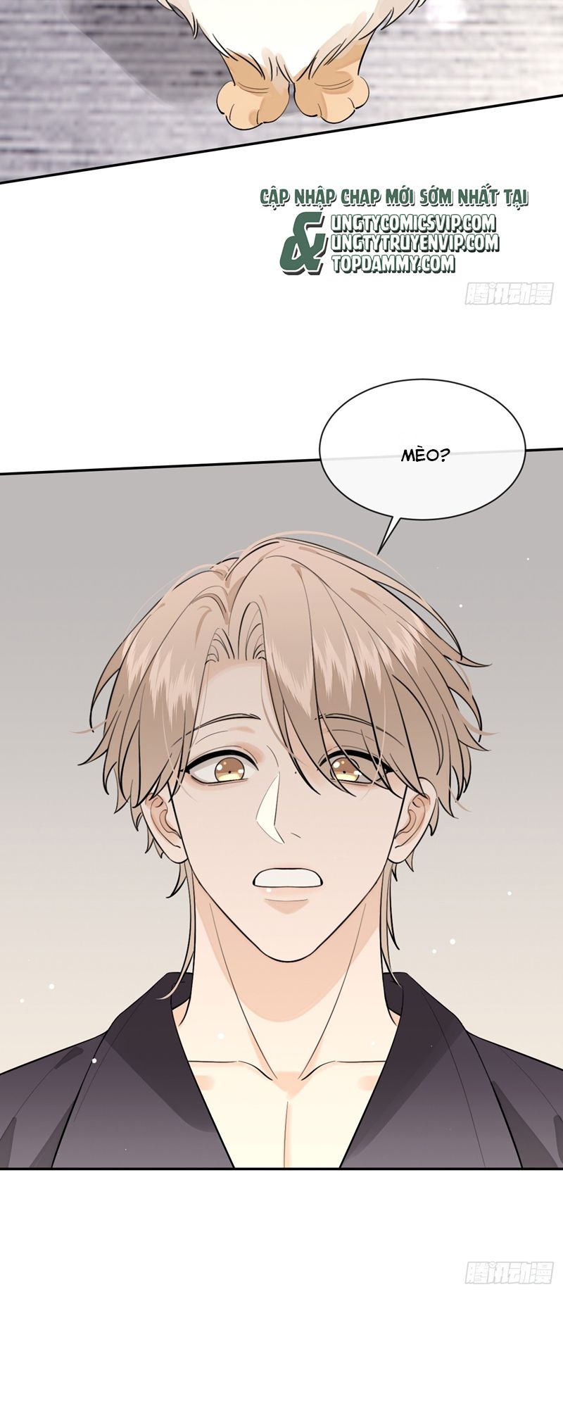 Chó Lớn Bắt Nạt Chủ Chapter 81 - Trang 2