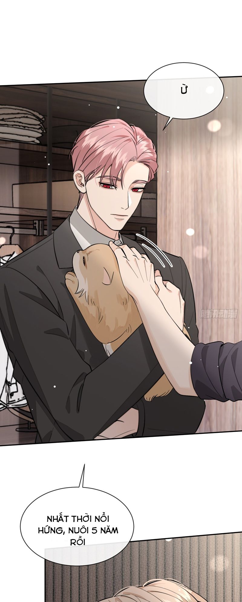 Chó Lớn Bắt Nạt Chủ Chapter 81 - Trang 2