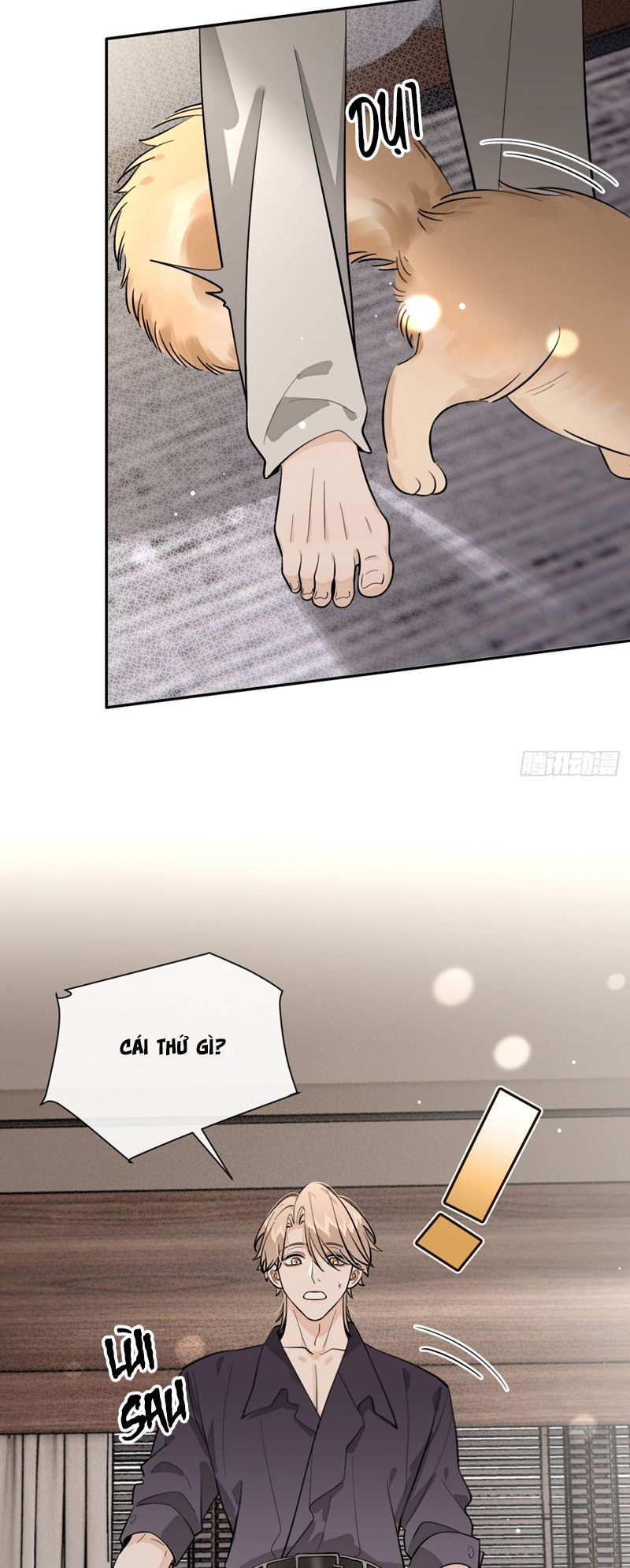 Chó Lớn Bắt Nạt Chủ Chapter 81 - Trang 2
