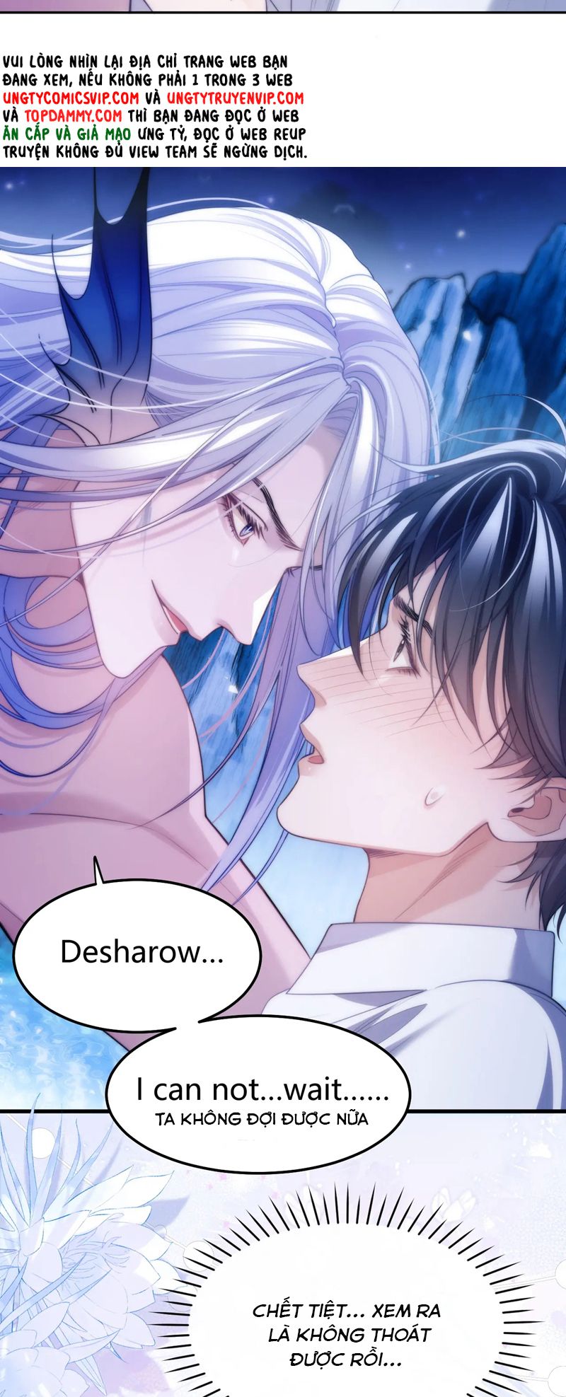 Desharow Nhân Ngư Chapter 47 - Next Chapter 48