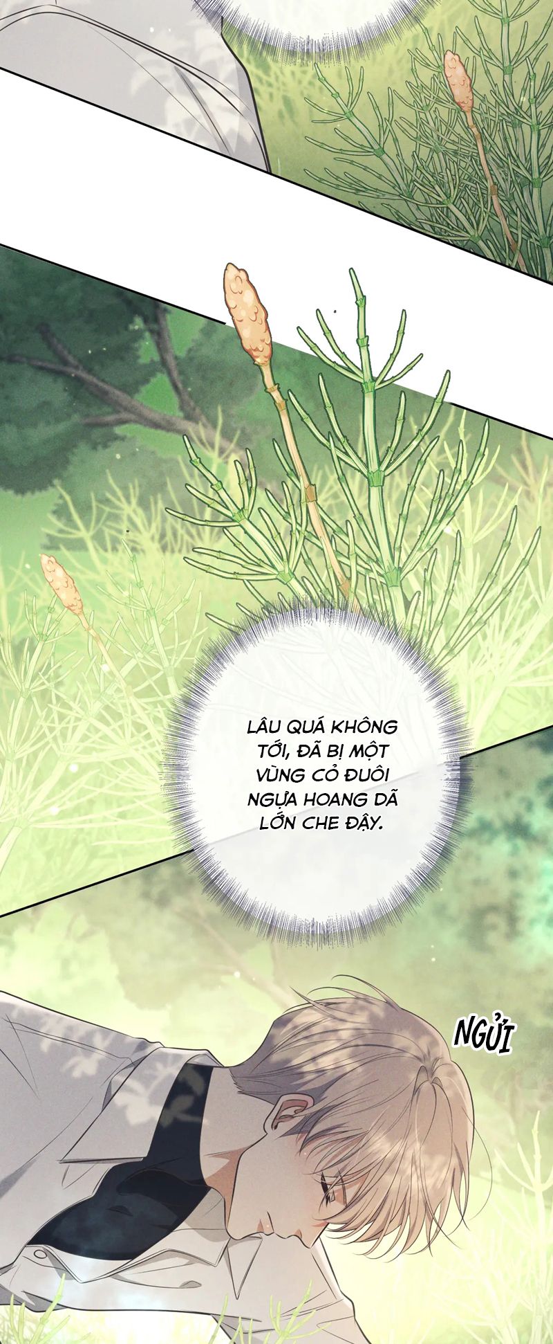 Đêm Tình Yêu Và Sát Ý Chap 17 - Trang 3