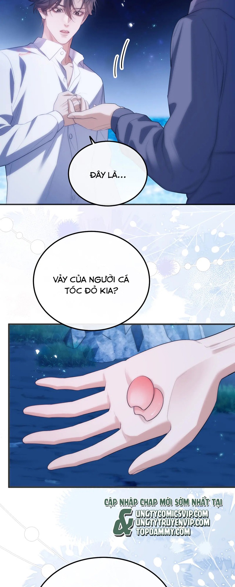 Desharow Nhân Ngư Chapter 48 - Trang 4