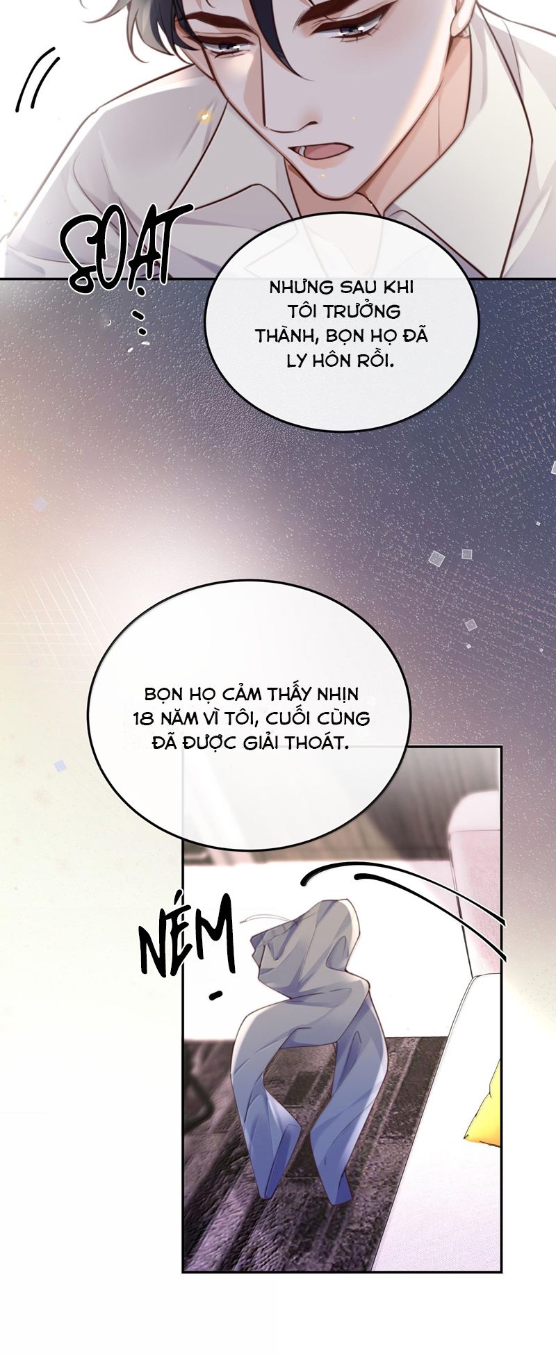 Tổng Tài Định Chế Tư Nhân Chap 96 - Trang 3