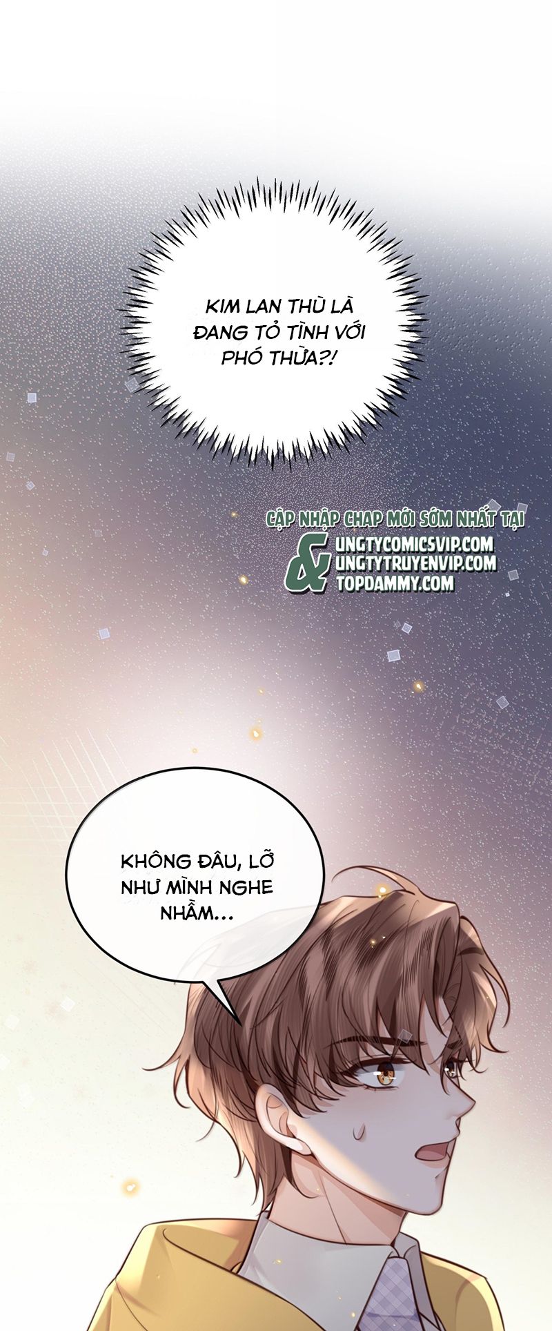 Tổng Tài Định Chế Tư Nhân Chap 96 - Trang 3