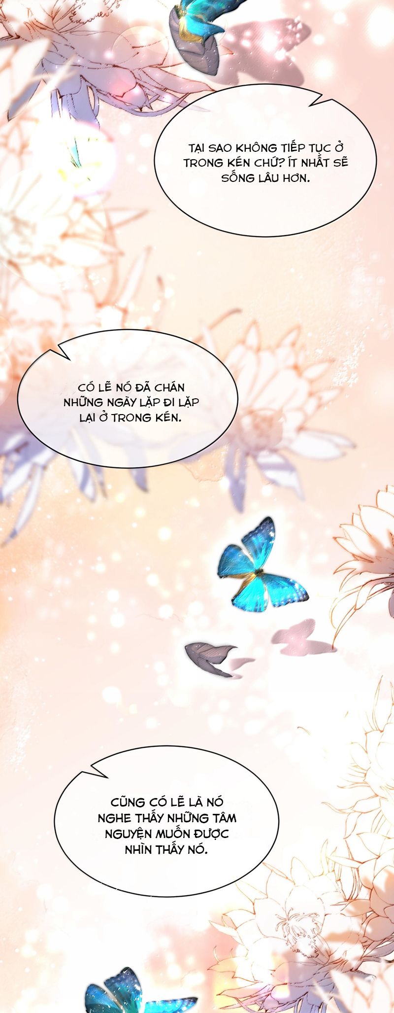 Trung Khuyển Không Thể Đẩy Ra Chapter 47 - Next Chapter 48