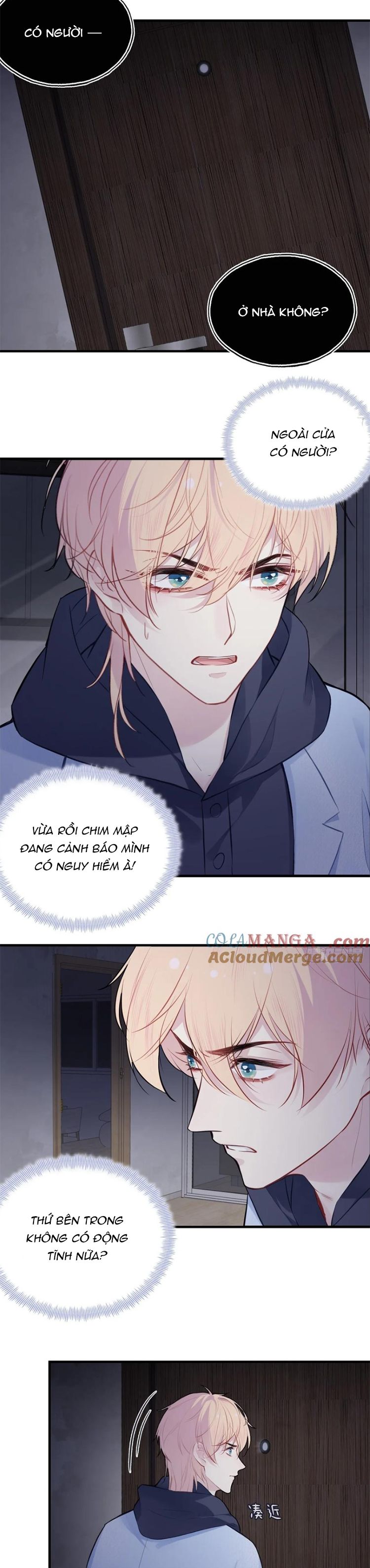Anh Ấy Chưa Từng Rơi Xuống Chap 71 - Trang 4