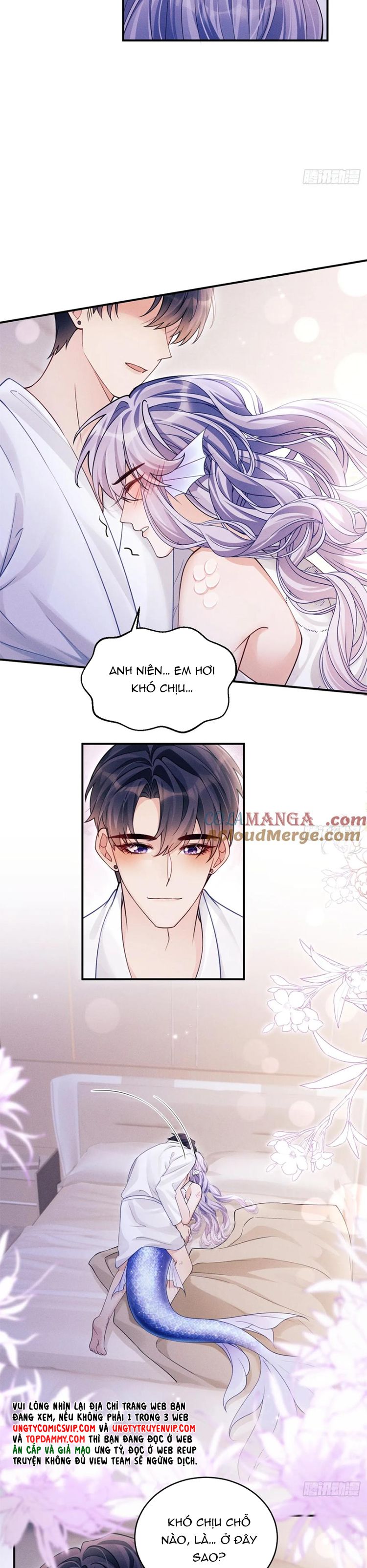 Tôi Hoài Nghi Ảnh Đế Đang Theo Đuổi Tôi Chapter 144 - Trang 4