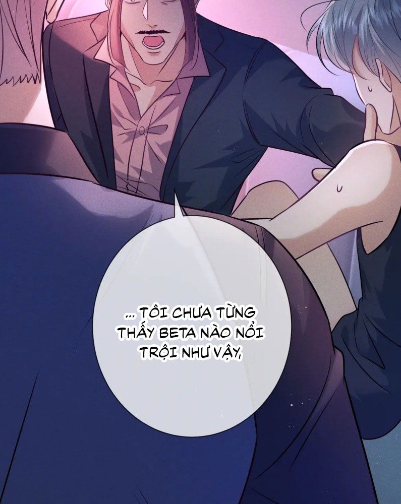 Đêm Tình Yêu Và Sát Ý Chap 19 - Trang 2