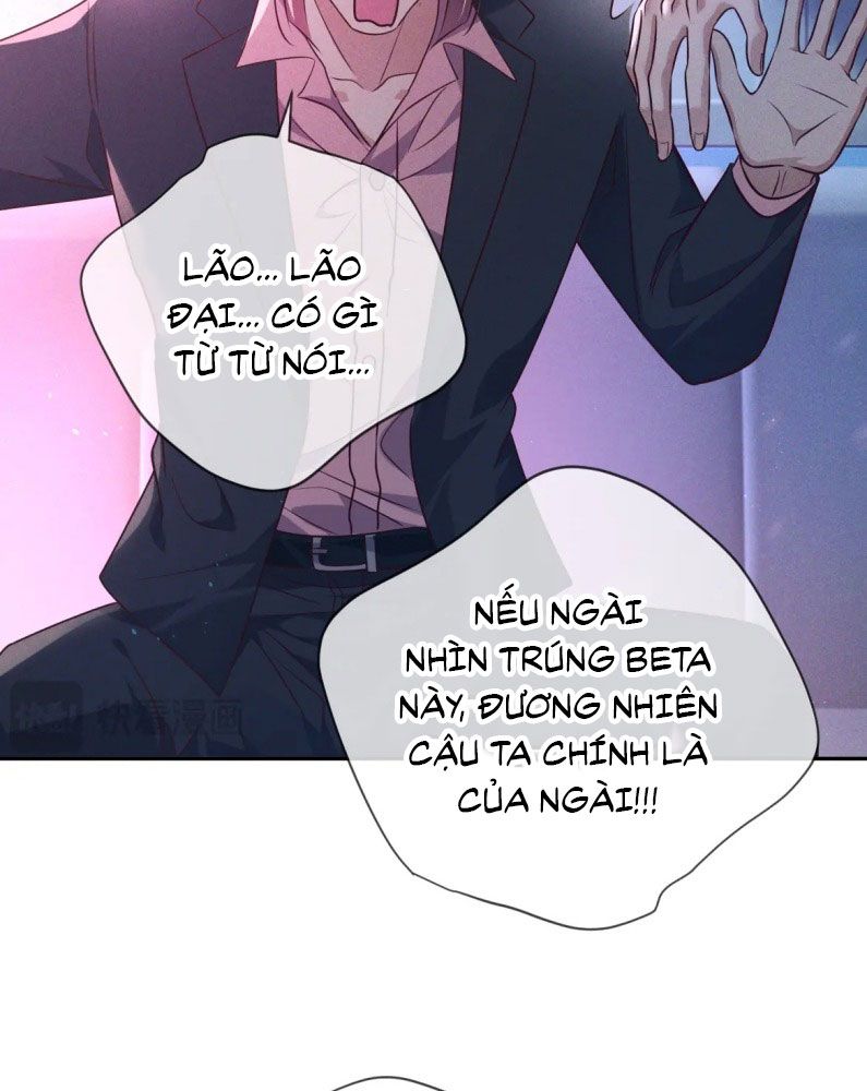 Đêm Tình Yêu Và Sát Ý Chap 19 - Trang 2