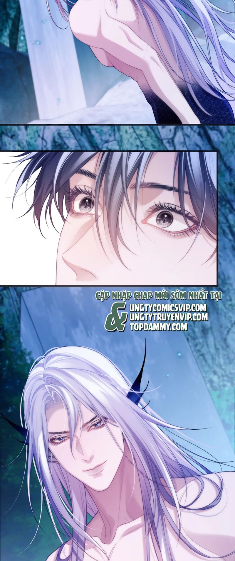 Desharow Nhân Ngư Chapter 50 - Trang 4