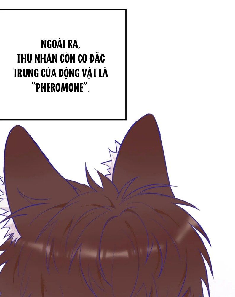 Cún Con Nói Dối Sẽ Bị Ăn Mất Chapter 1 - Trang 3