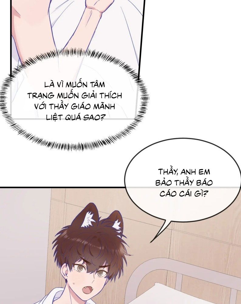 Cún Con Nói Dối Sẽ Bị Ăn Mất Chapter 6 - Trang 3