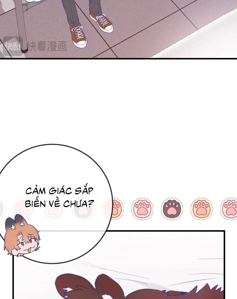 Cún Con Nói Dối Sẽ Bị Ăn Mất Chapter 6 - Trang 3