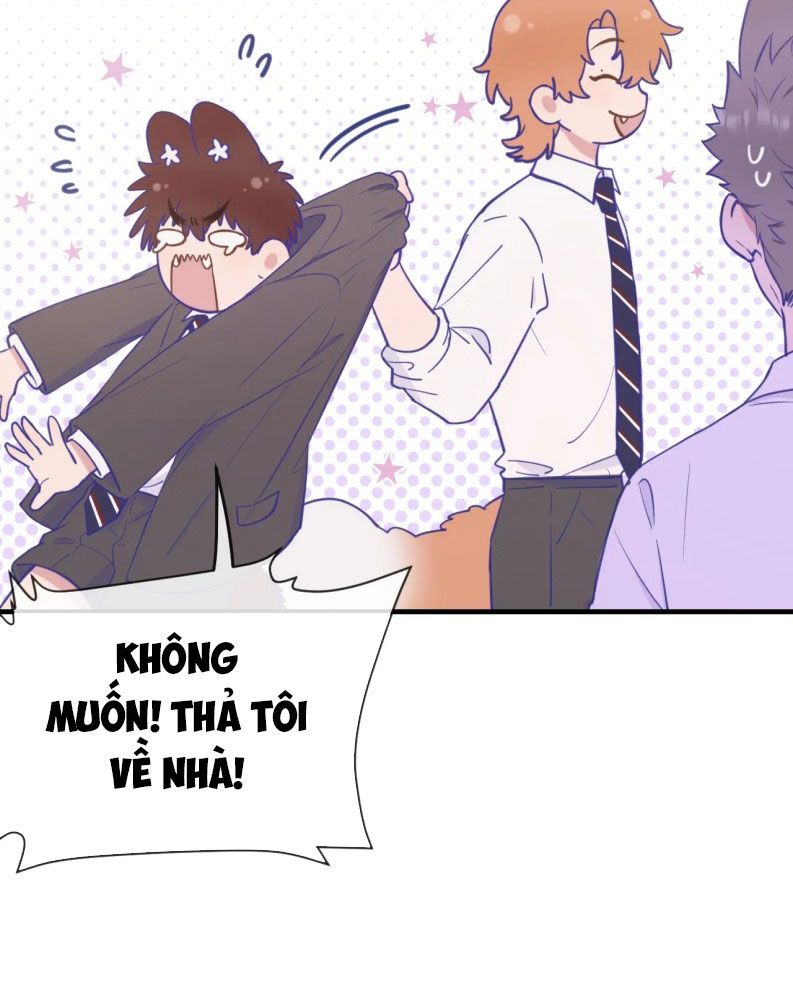 Cún Con Nói Dối Sẽ Bị Ăn Mất Chapter 10 - Trang 3