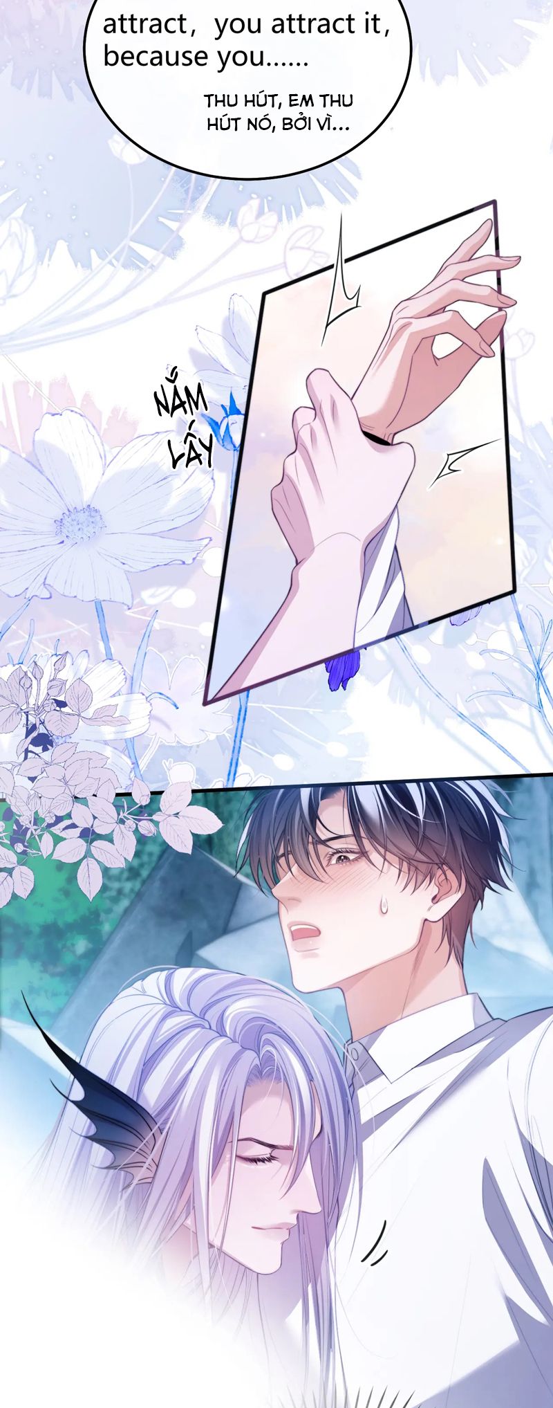 Desharow Nhân Ngư Chapter 52 - Next Chapter 53