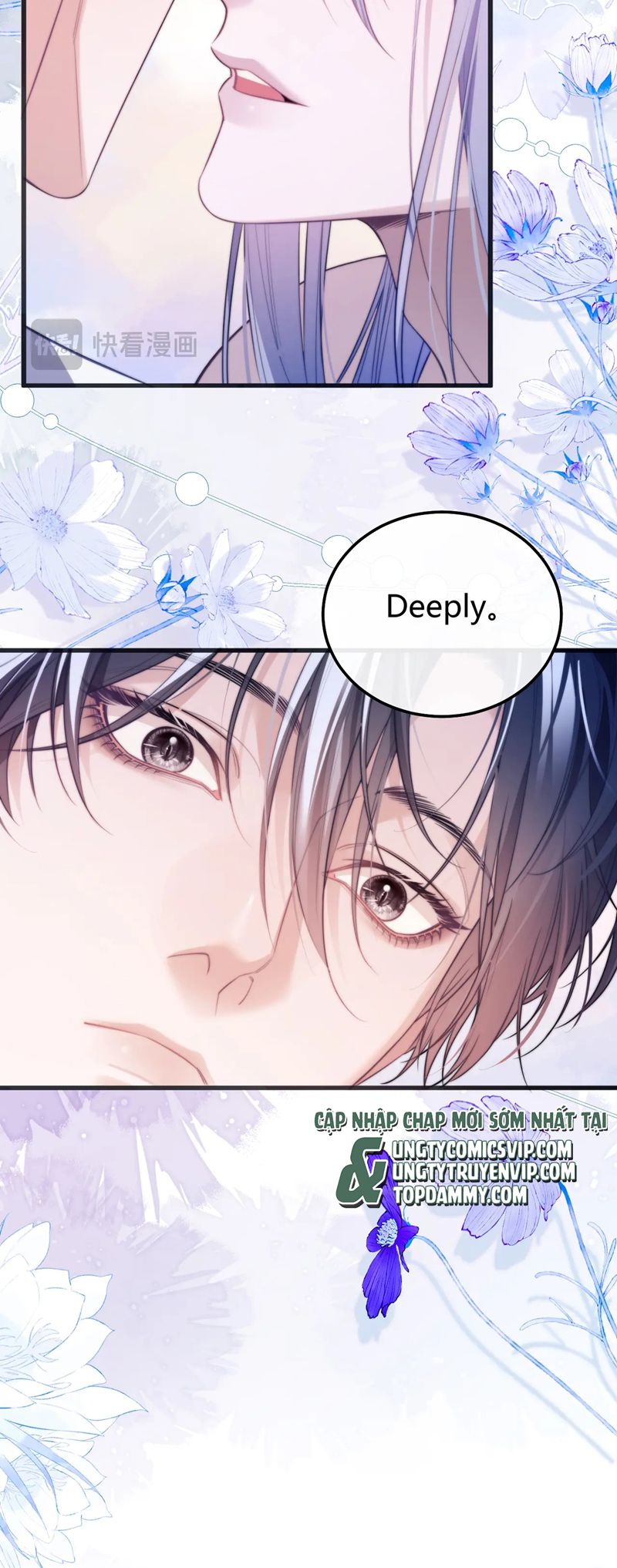 Desharow Nhân Ngư Chapter 52 - Next Chapter 53