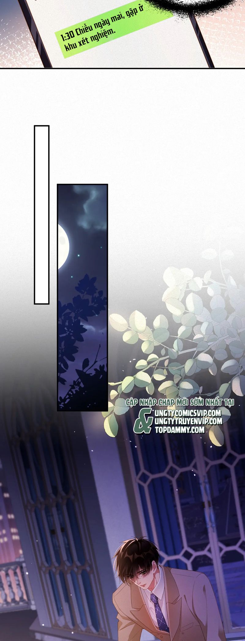 Chồng Trước Lại Muốn Phục Hôn Rồi Chapter 71 - Trang 3