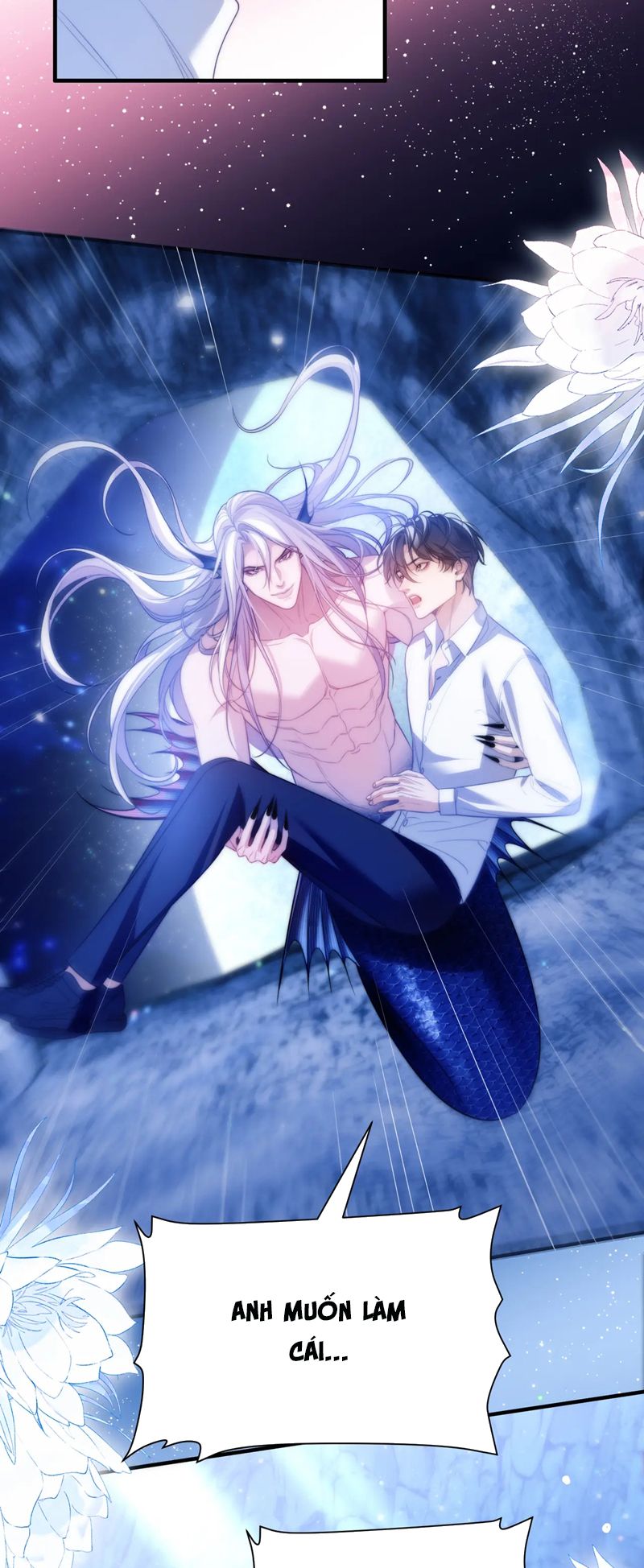 Desharow Nhân Ngư Chapter 58 - Next Chapter 59
