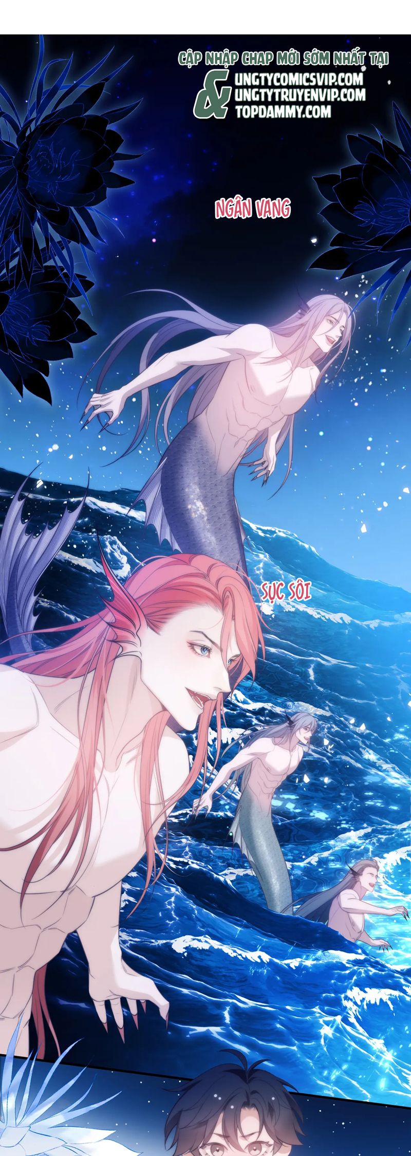 Desharow Nhân Ngư Chapter 58 - Next Chapter 59