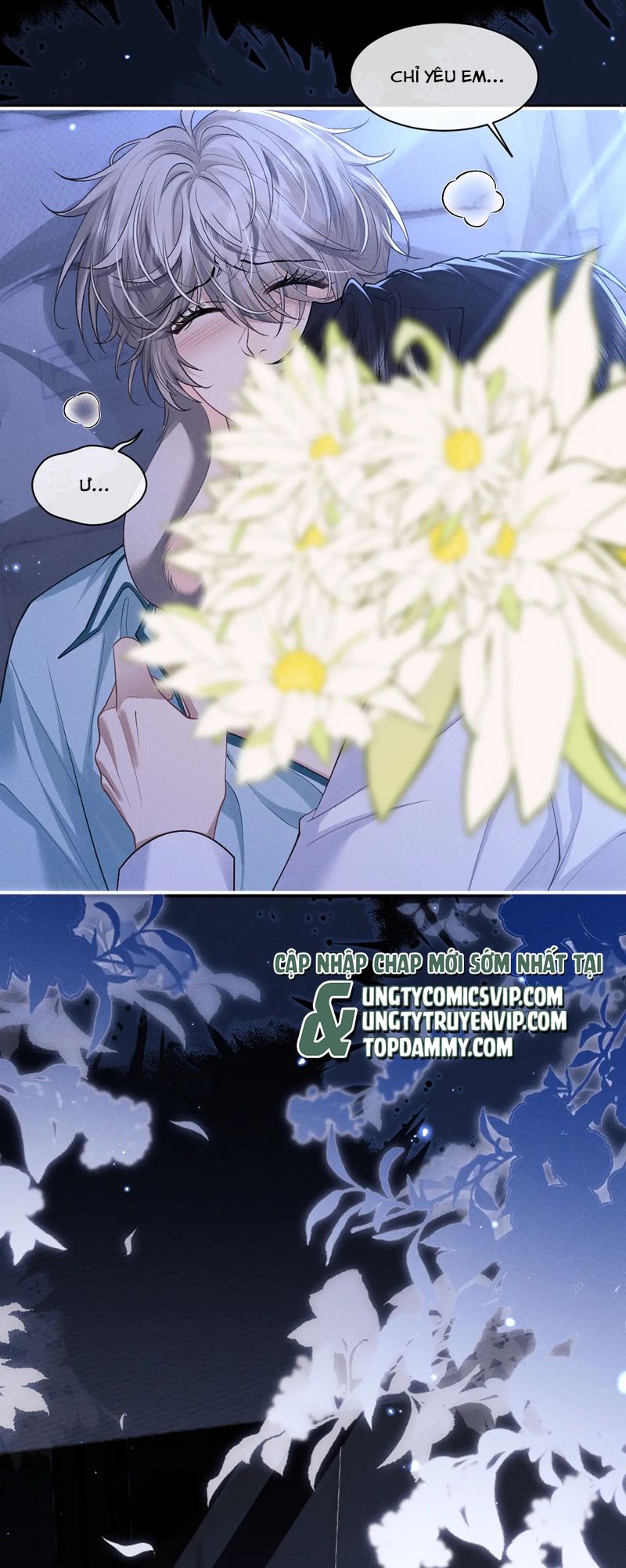 Chấp Sự Thỏ Cụp Tai Chapter 118 - Trang 4