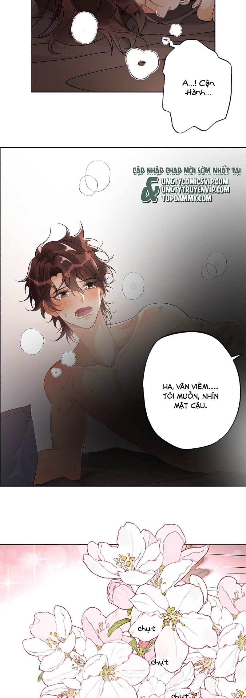 Xuyên Nhanh Chi Cải Tạo Bắt Đầu Lại Làm Người Chapter 118 - Next Chapter 119