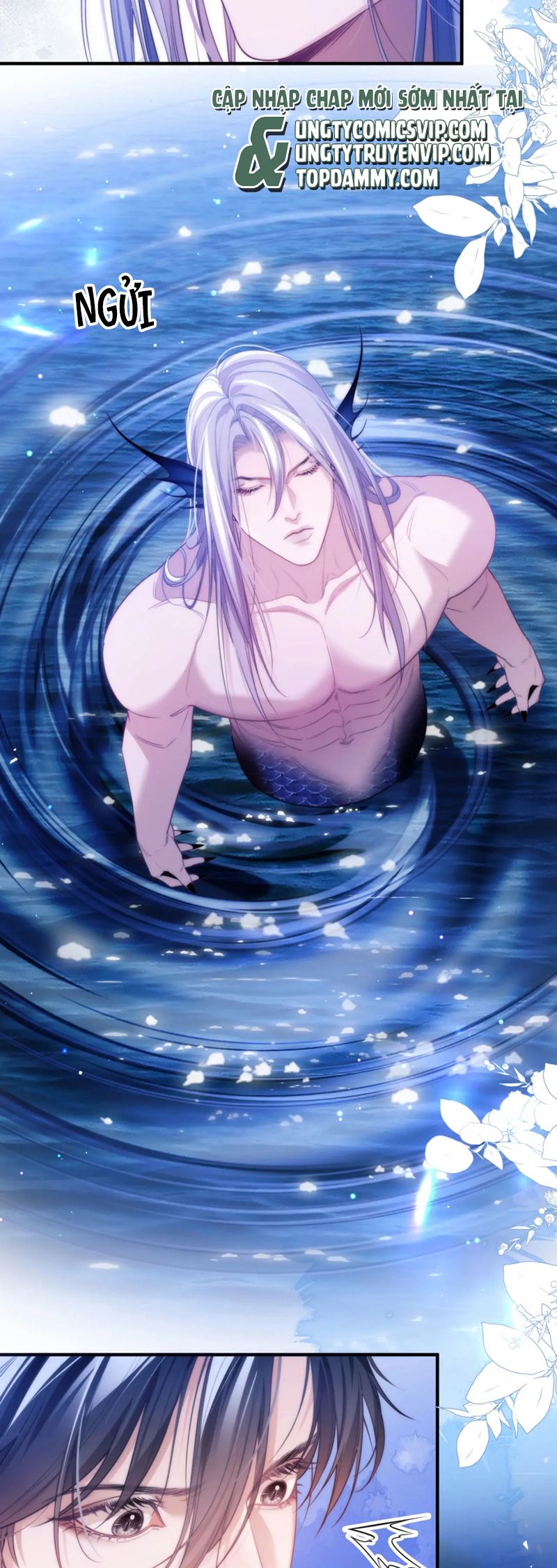 Desharow Nhân Ngư Chapter 61 - Next Chapter 62