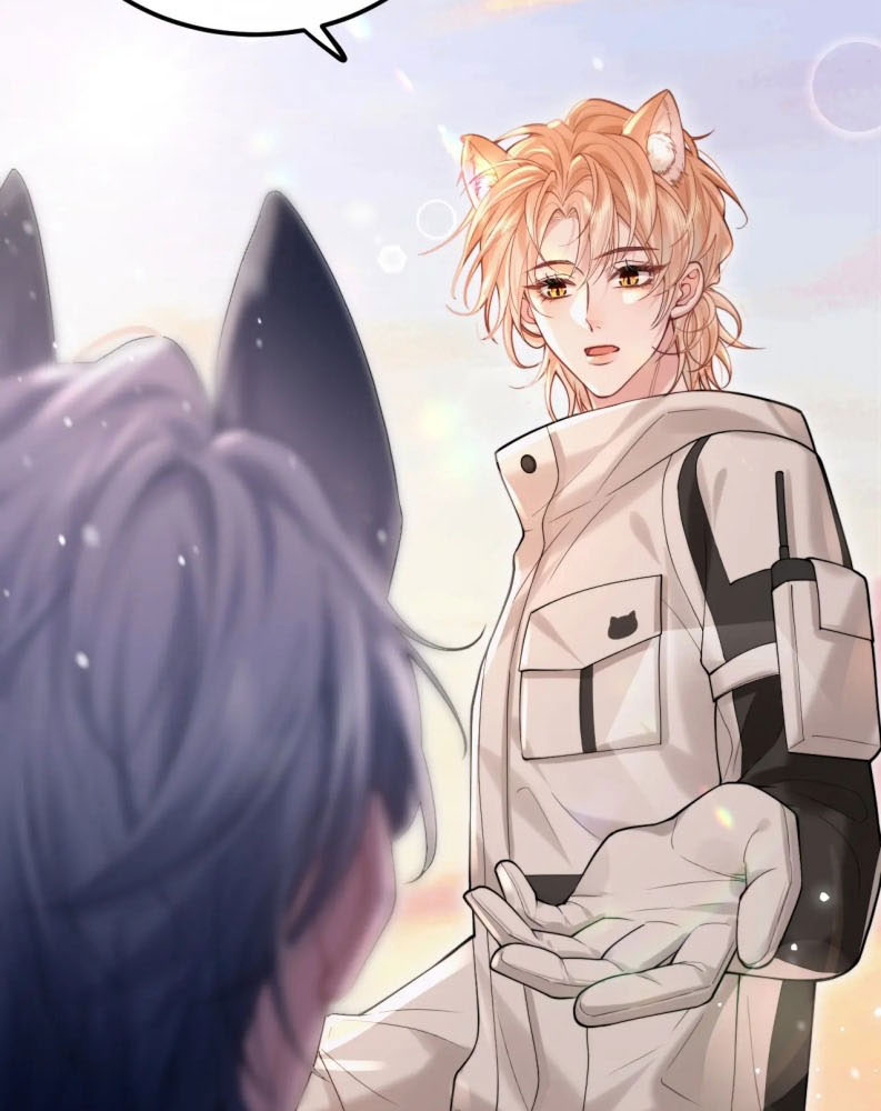 Tật Xấu Nuông Chiều Chap 1 - Trang 4