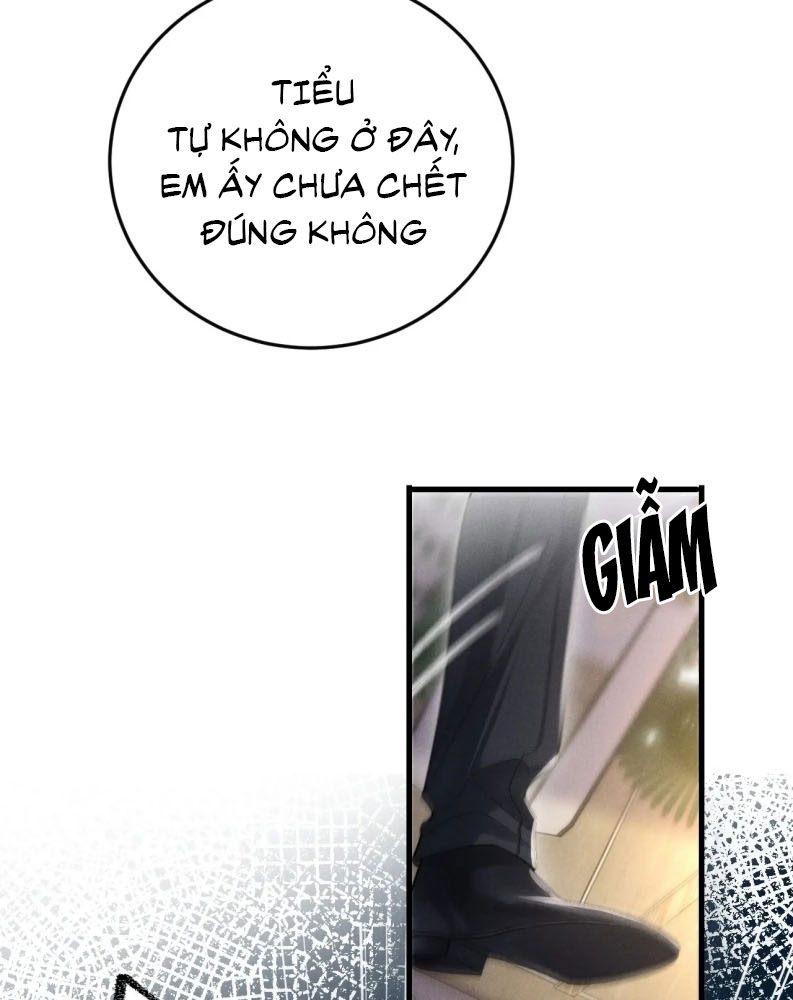 Tật Xấu Nuông Chiều Chap 2 - Trang 4