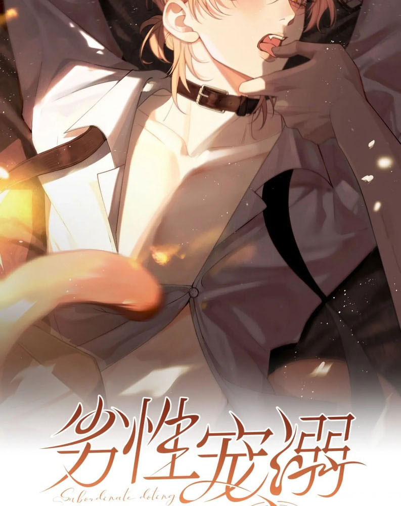 Tật Xấu Nuông Chiều Chap 2 - Trang 4