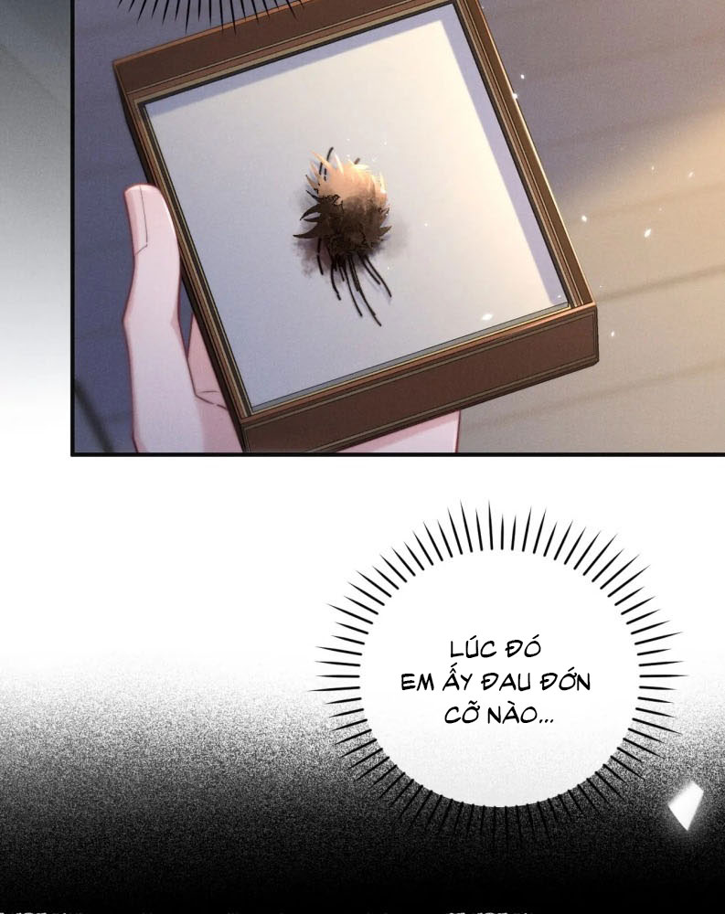 Tật Xấu Nuông Chiều Chap 3 - Trang 4