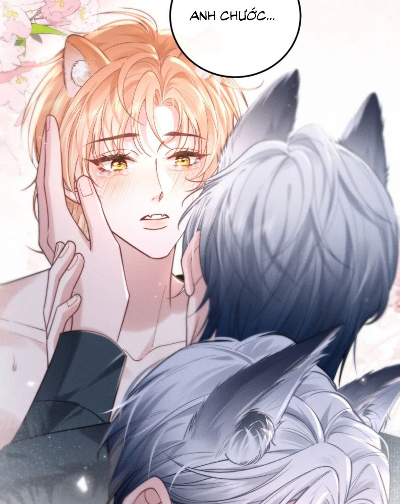 Tật Xấu Nuông Chiều Chap 3 - Trang 4