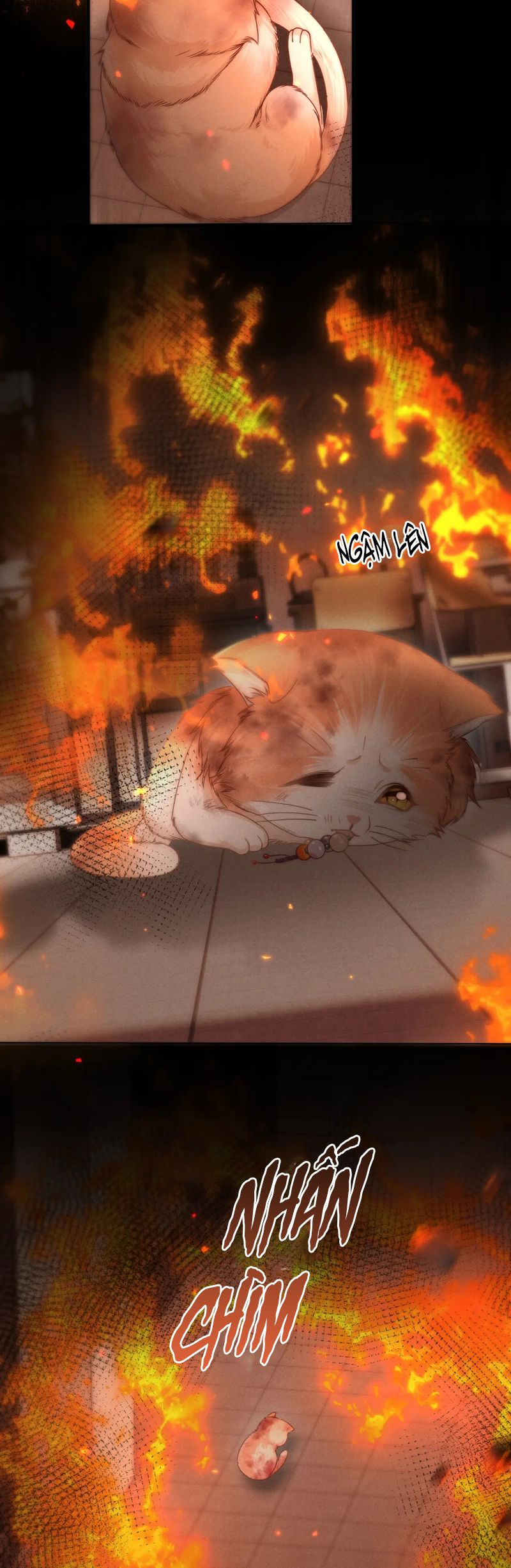 Tật Xấu Nuông Chiều Chap 5 - Next Chap 6