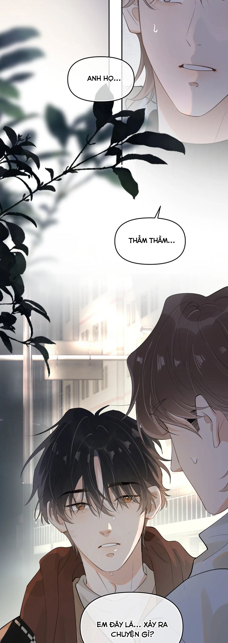 Cậu Vượt Giới Rồi Chapter 37 - Next Chapter 38