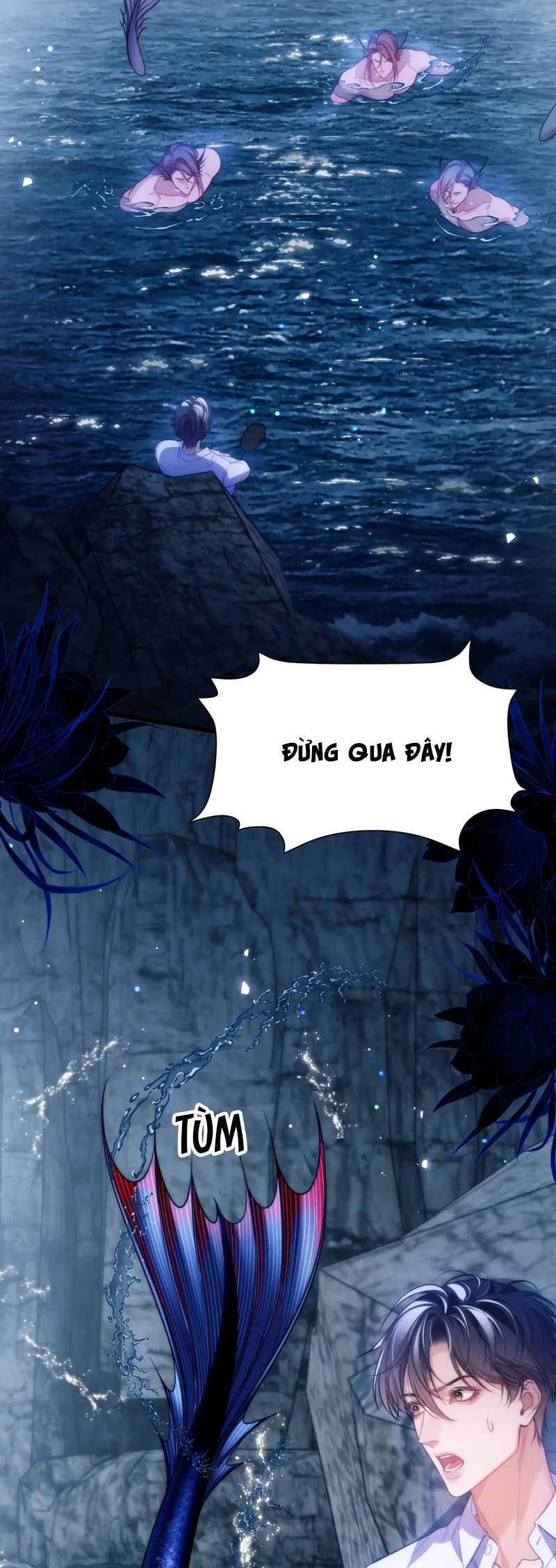 Desharow Nhân Ngư Chapter 64 - Next Chapter 65