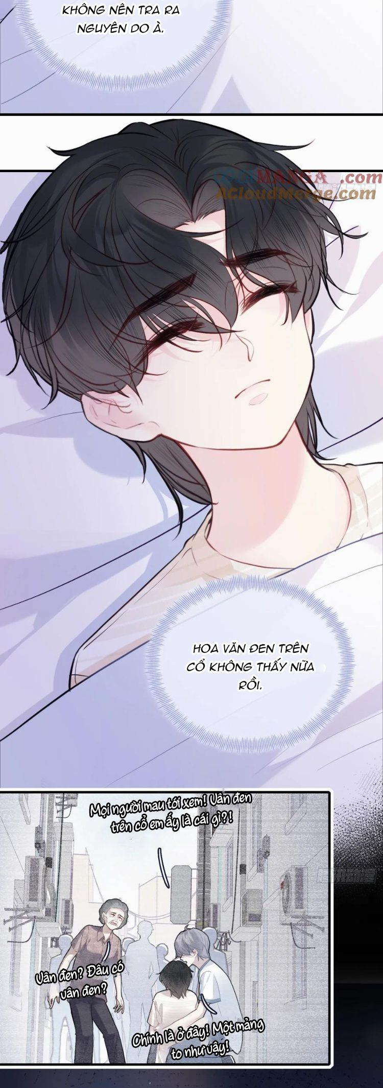 Anh Ấy Chưa Từng Rơi Xuống Chap 89 - Trang 4