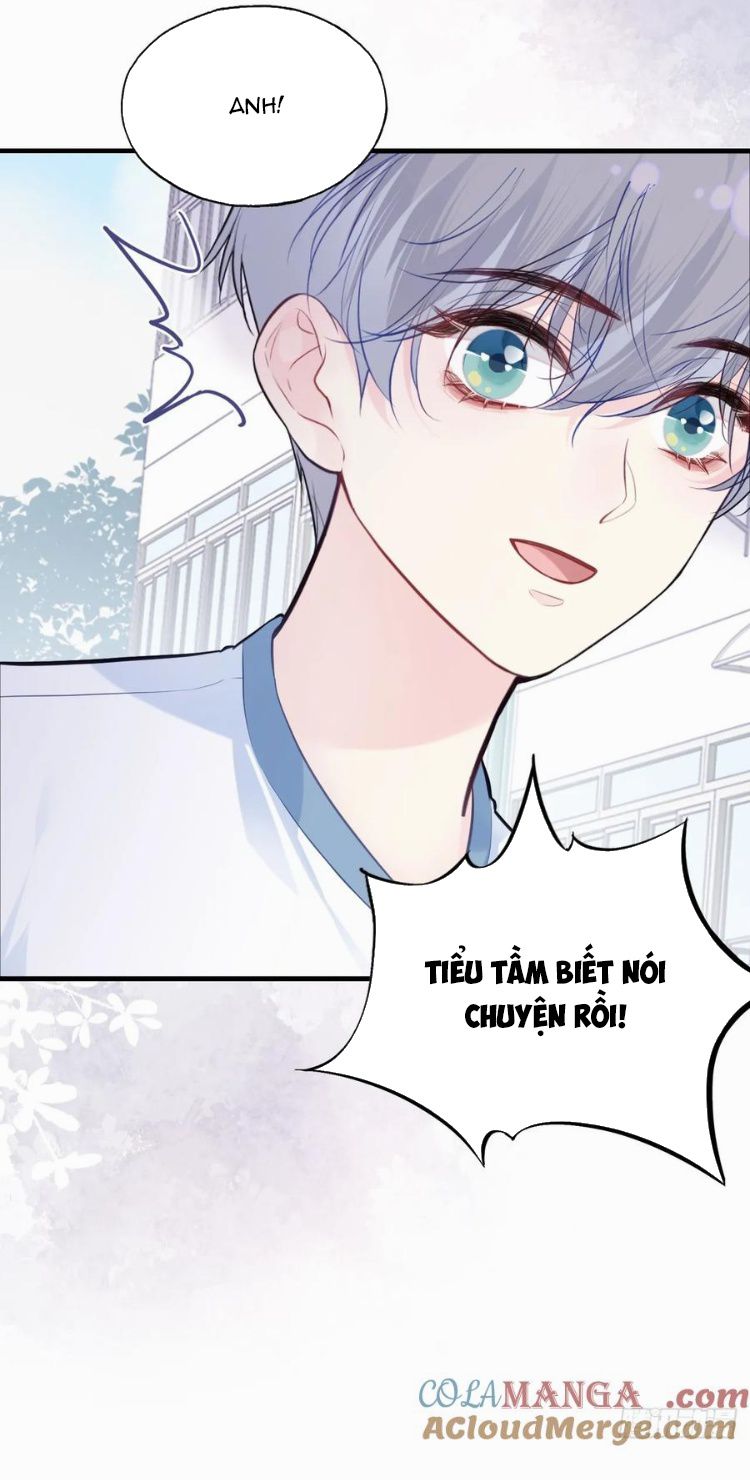 Anh Ấy Chưa Từng Rơi Xuống Chap 89 - Trang 4