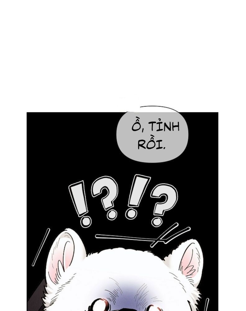 ĐỪNG CHẠM VÀO CÚN CON CỦA TÔI Chap 1 - Trang 4