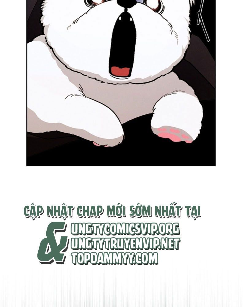 ĐỪNG CHẠM VÀO CÚN CON CỦA TÔI Chap 1 - Trang 4