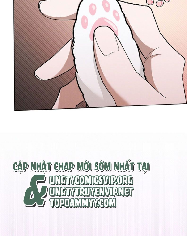 ĐỪNG CHẠM VÀO CÚN CON CỦA TÔI Chap 1 - Trang 4