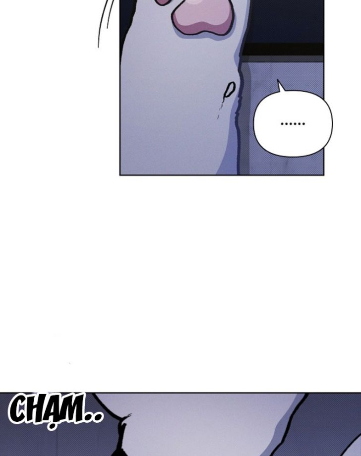 ĐỪNG CHẠM VÀO CÚN CON CỦA TÔI Chap 4 - Trang 4